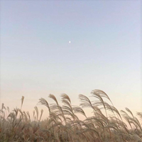 苏荷舞 时尚炫音