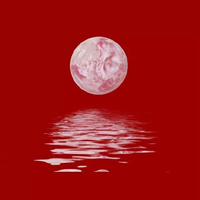 恰恰漫步 时尚炫音