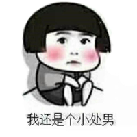 汗血宝马 时尚炫音