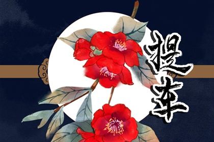 2025年08月09日提车日子如何 是提新车好日子吗